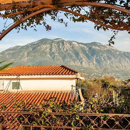 Bougainvillea House 2 卡拉马塔 外观 照片